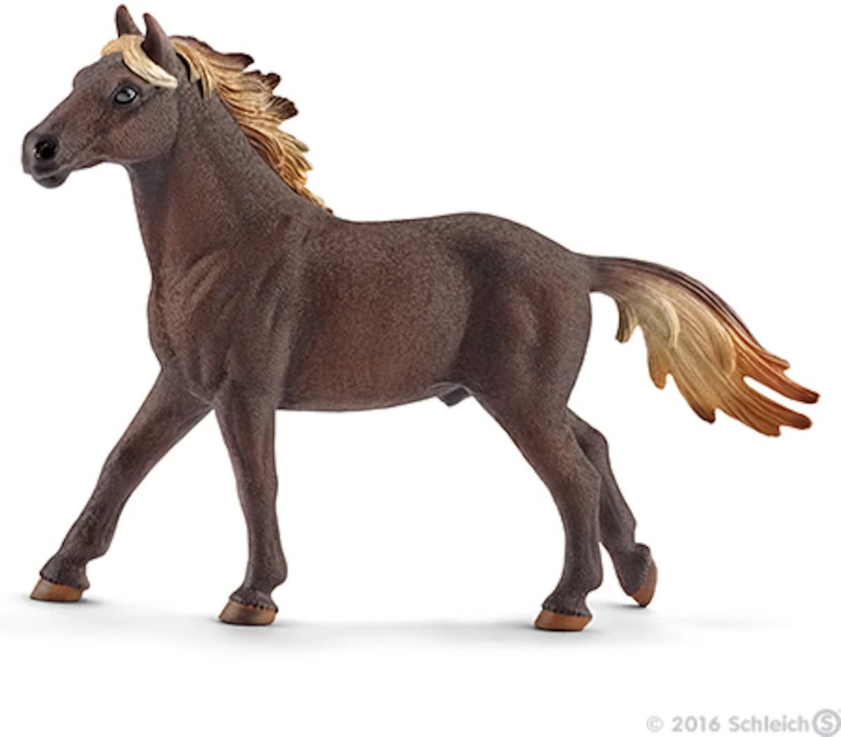 Mustang stallion