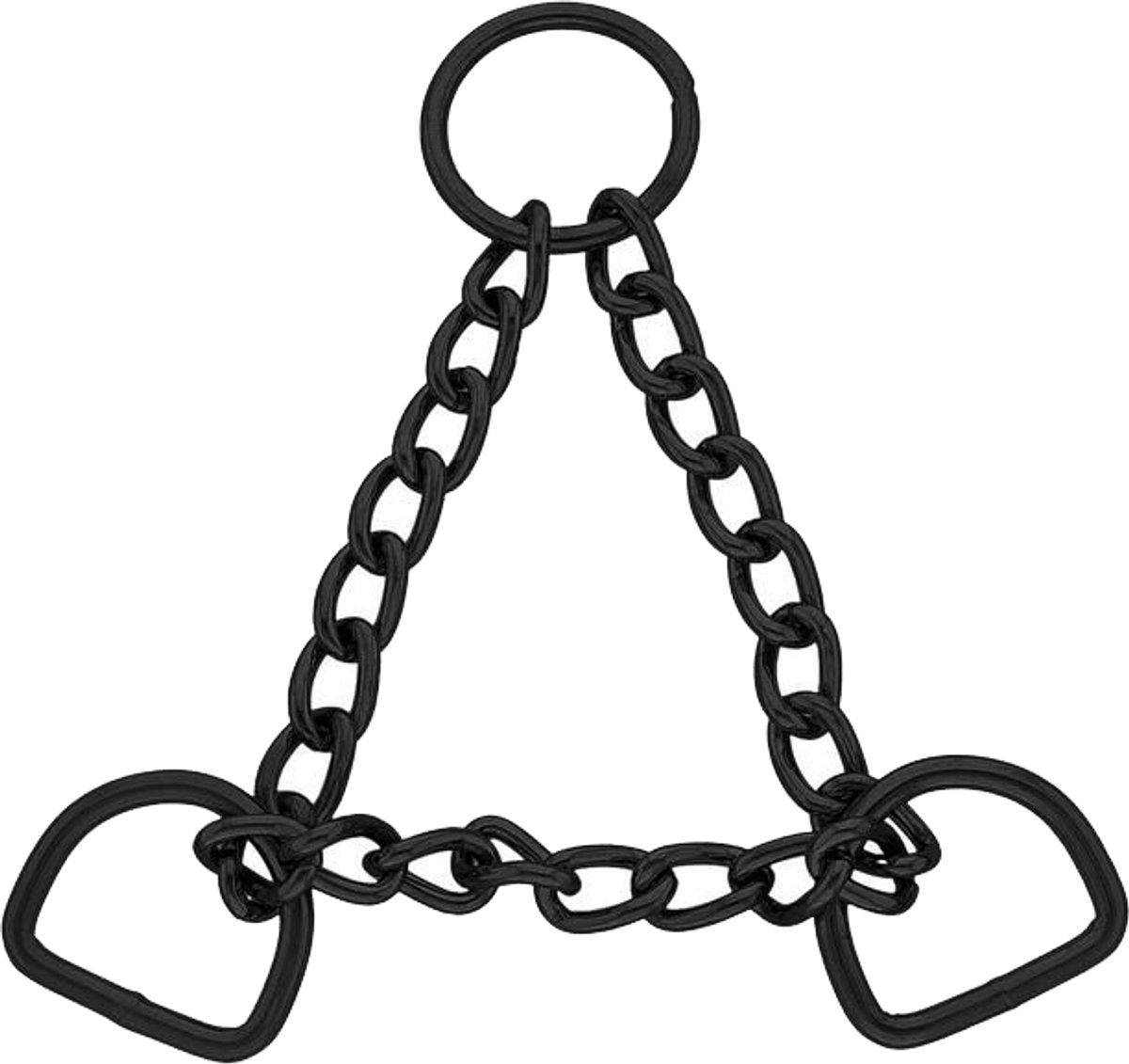 Paracord Martingale 21CM RVS Zwart