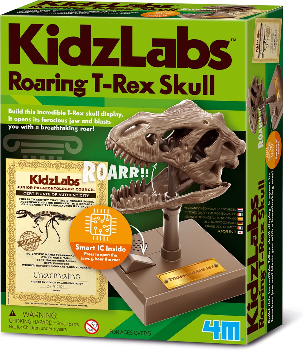 4M KIDZROBOTIX: BRULLENDE T-REX SCHEDEL 12cm, met gedetailleerde instructies, werkt op 2x1.5V AAA batterijen (niet inbegrepen),  doos,  5+