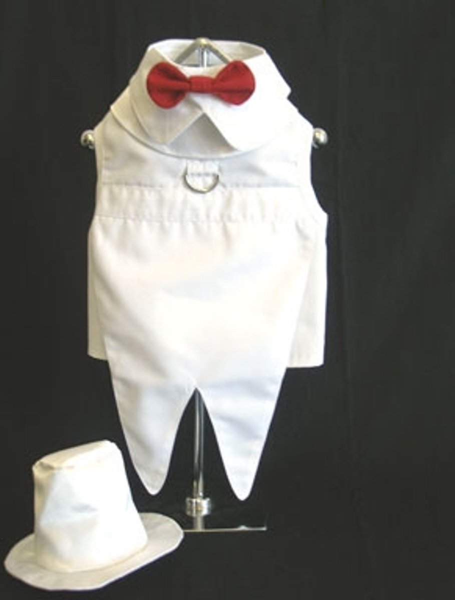 Honden tuxedo wit voor hele kleine hondjes - smoking - hond - jacquet - dier - huisdier - trouwen