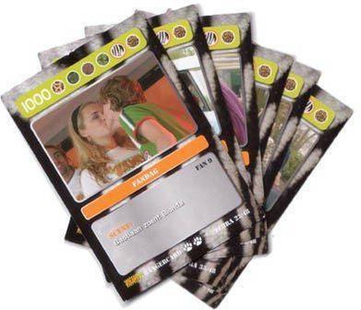 Zoop Ranger Cards Zebra