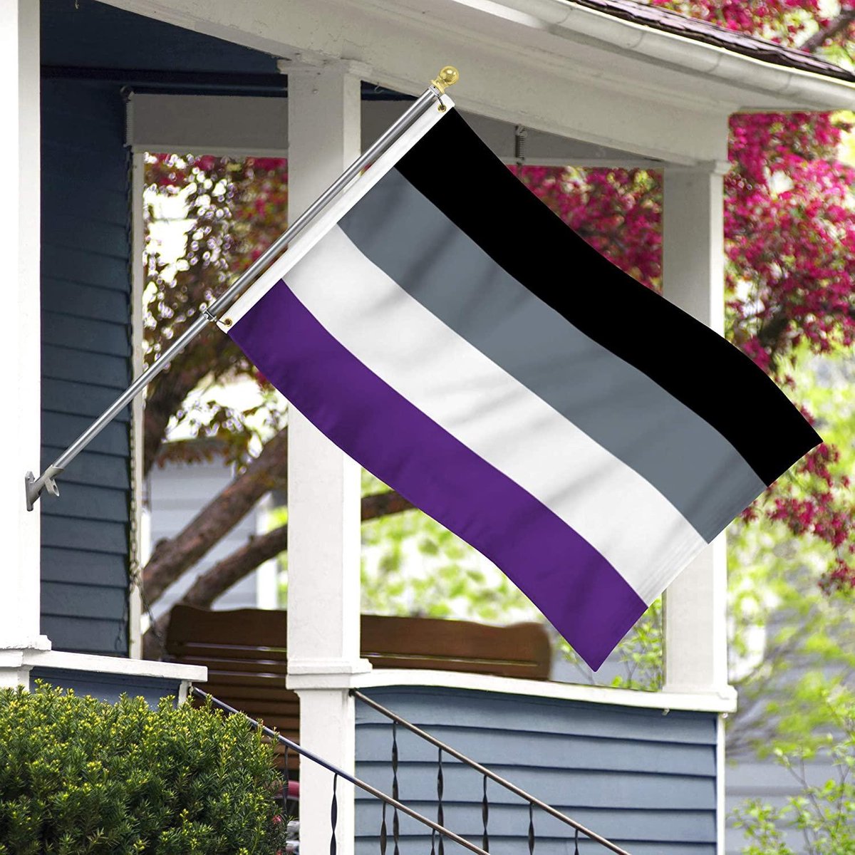 Asexueel Vlag - Grote Asexual Flag - Aseksuele/Aseksueel LGBT Gay Pride Vlaggenmast Vlag - Van 100% Polyester - UV & Weerbestendig - Met Versterkte Mastrand & Messing Ogen - 90x150 CM