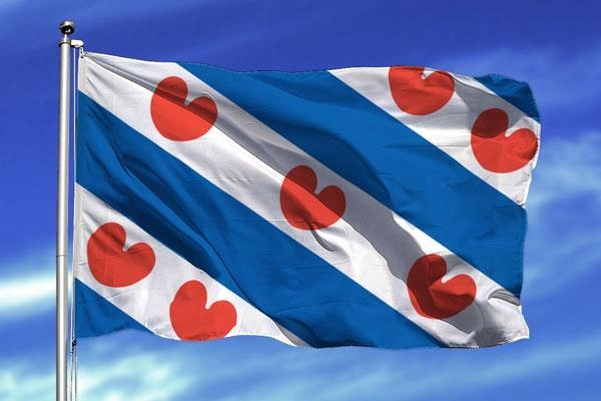 Friese Vlag - Grote Friesland/Fryslan Boppe Provincie Flag - Friesche Vlaggenmast Vlag - Van 100% Polyester - UV & Weerbestendig - Met Versterkte Mastrand & Messing Ogen - 90x150 CM