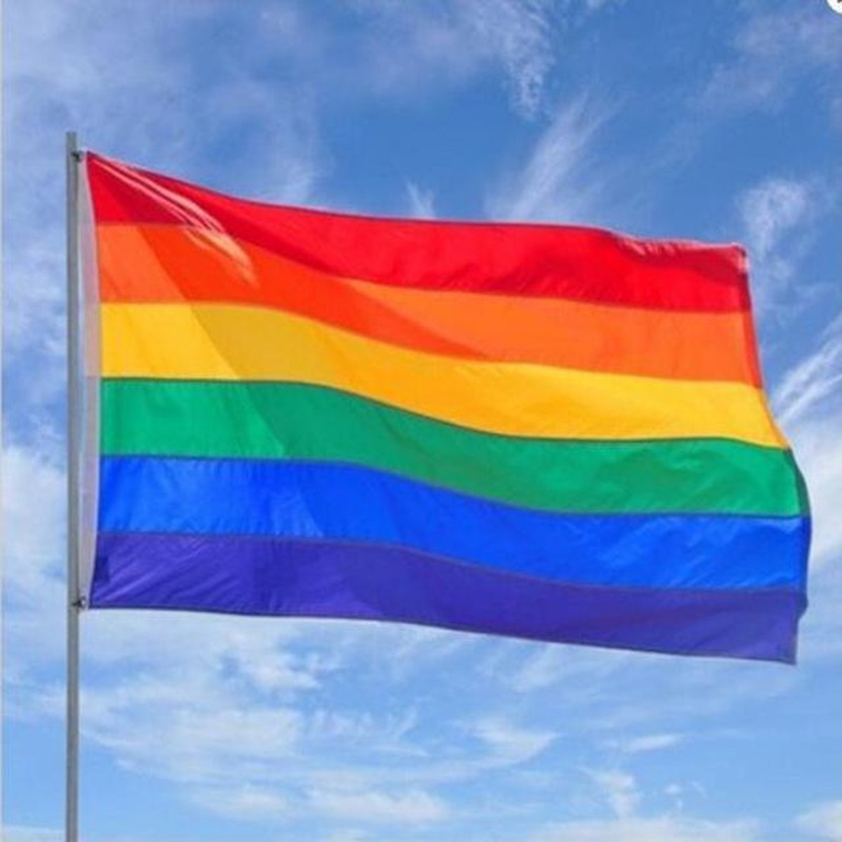 Regenboogvlag - LGBT Gay Pride Regenboog Vlag - Grote Homo LGBTQ Rainbow Flag - 100% Polyester - UV & Weerbestendig - Met Versterkte Mastrand & Messing Ogen - 90 x 150 CM