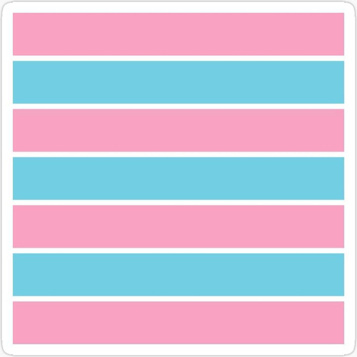 Transsexuele Vlag - Grote Transsexueel Transexual Flag - Transseksueel LGBT Gay Pride Vlaggenmast Vlag - 100% Polyester - UV & Weerbestendig - Met Versterkte Mastrand & Messing Ogen - 90x150 CM