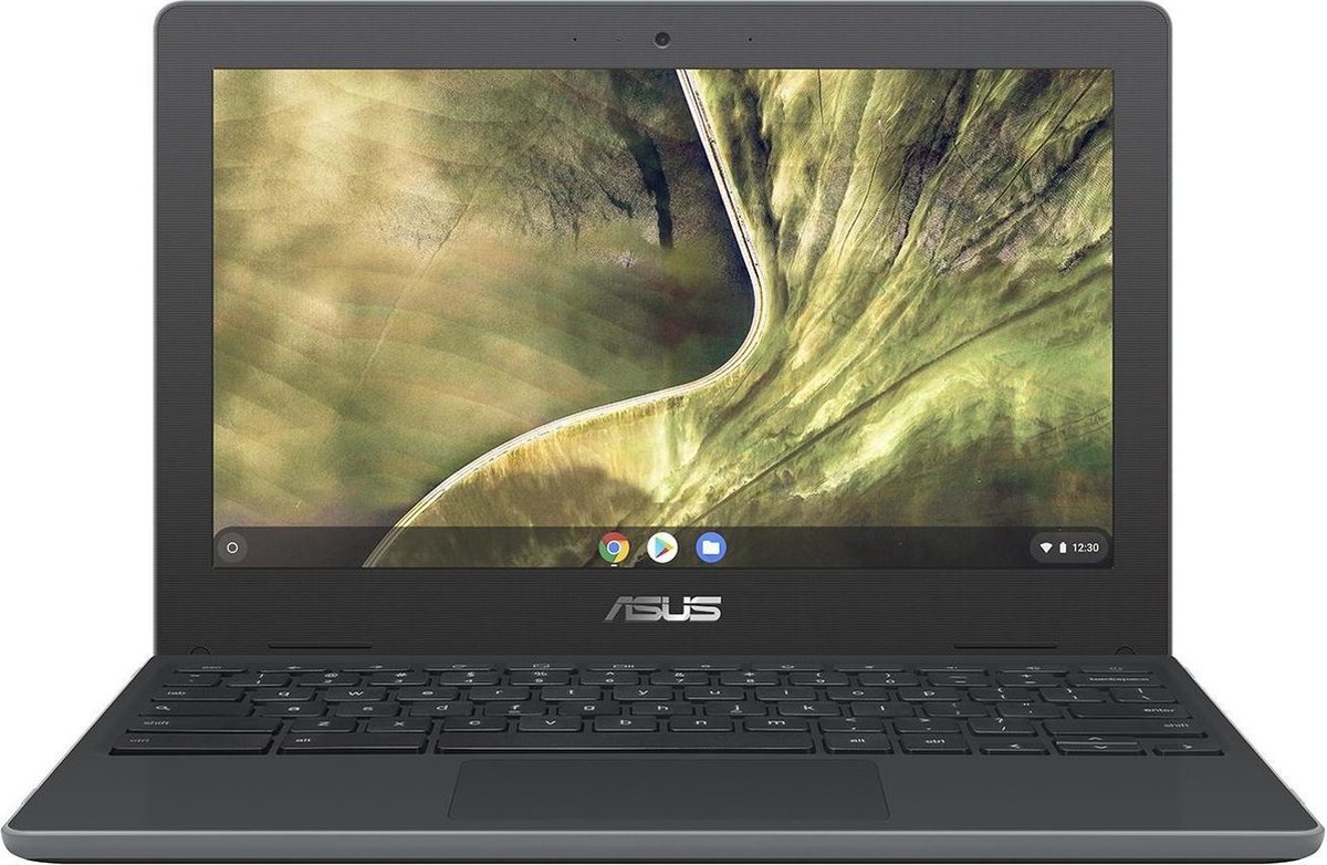 ASUS Chromebook C204MA Grijs 29,5 cm (11.6) 1366 x 768 Pixels Intel® Celeron® N 4 GB LPDDR4-SDRAM 32 GB eMMC Wi-Fi 5 (802.11ac) Chrome OS