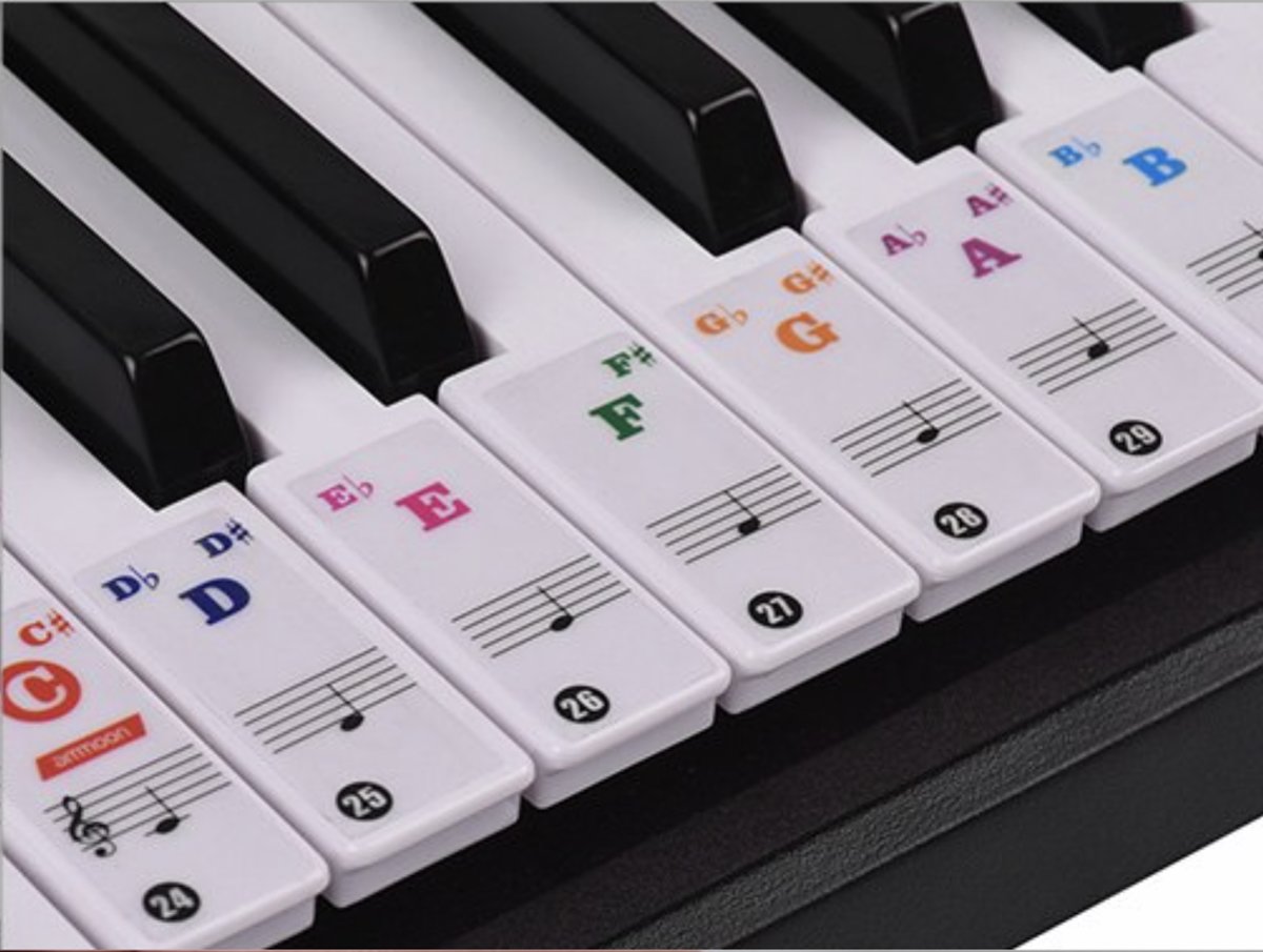 Gekleurde Piano Keyboard Stickers - Transparant Eenvoudig Verwijderbare Muzieknoten - Noten Leren Spelen - Geschikt voor 88, 61, 54 en 49 Toetsen