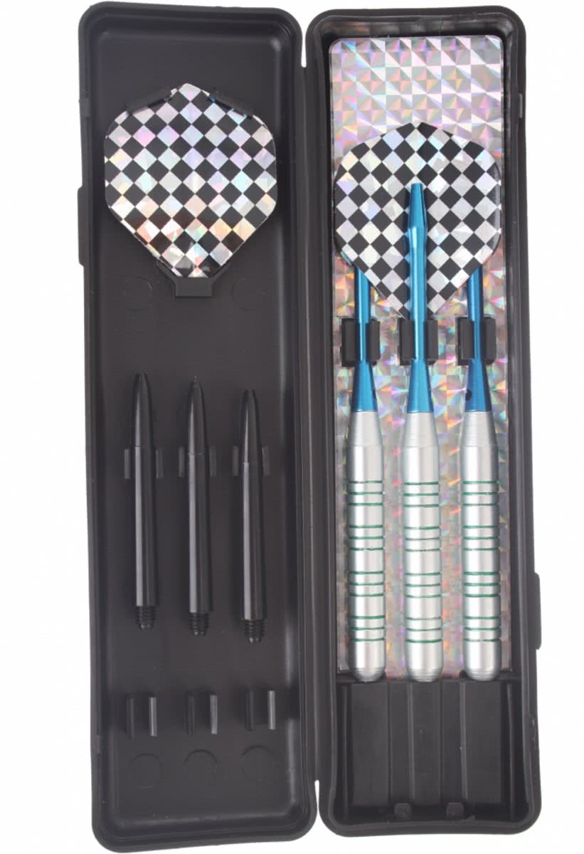 Abbey Darts Darts - Nickel/Silver - 19