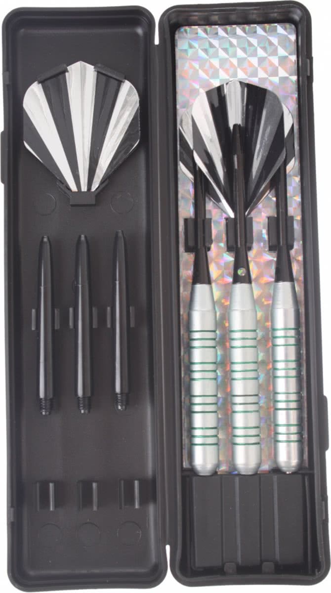 Abbey Darts Darts - Nickel/Silver - 22