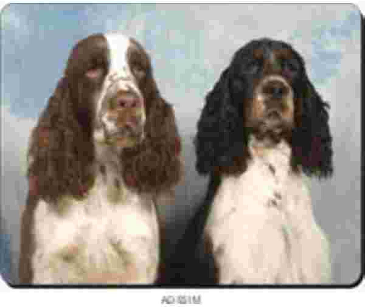 2 Springer Spaniels  Muismat