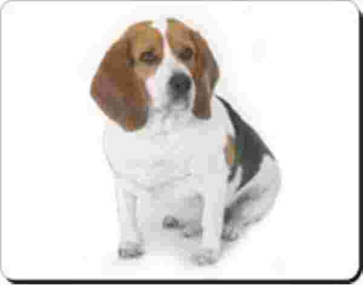 Beagle  Muismat