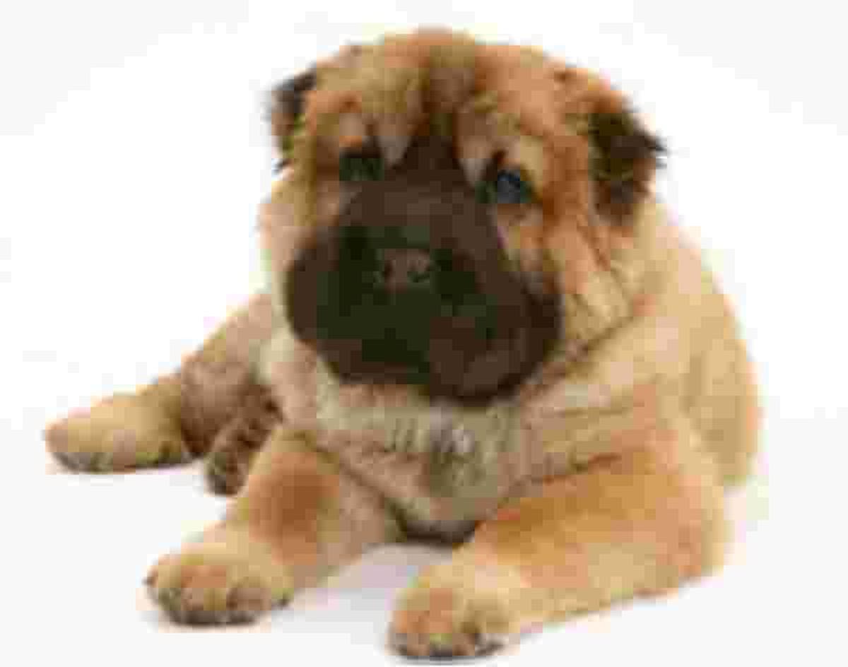 Bear Coated  Shar-Pei  Muismat