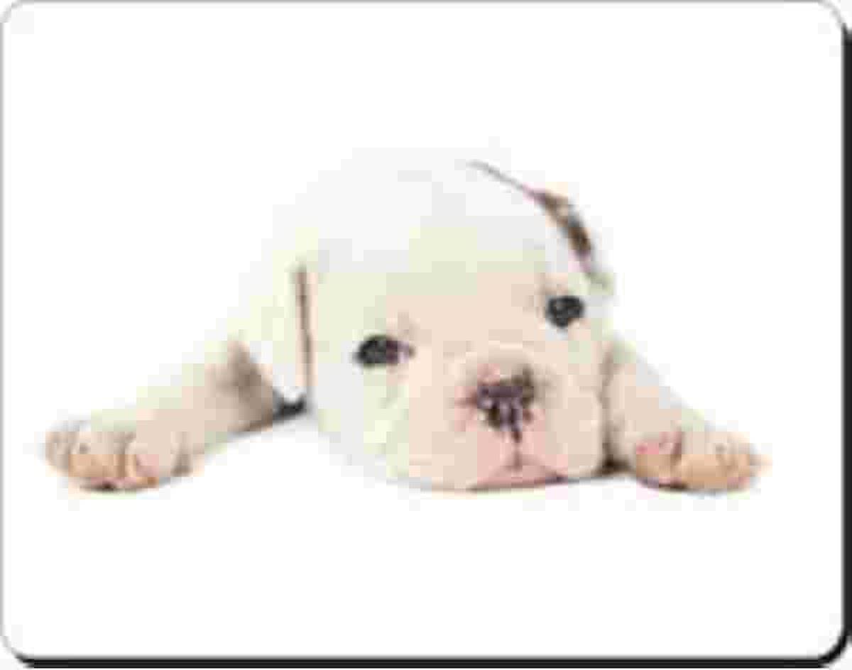 Bulldog Pup  Muismat