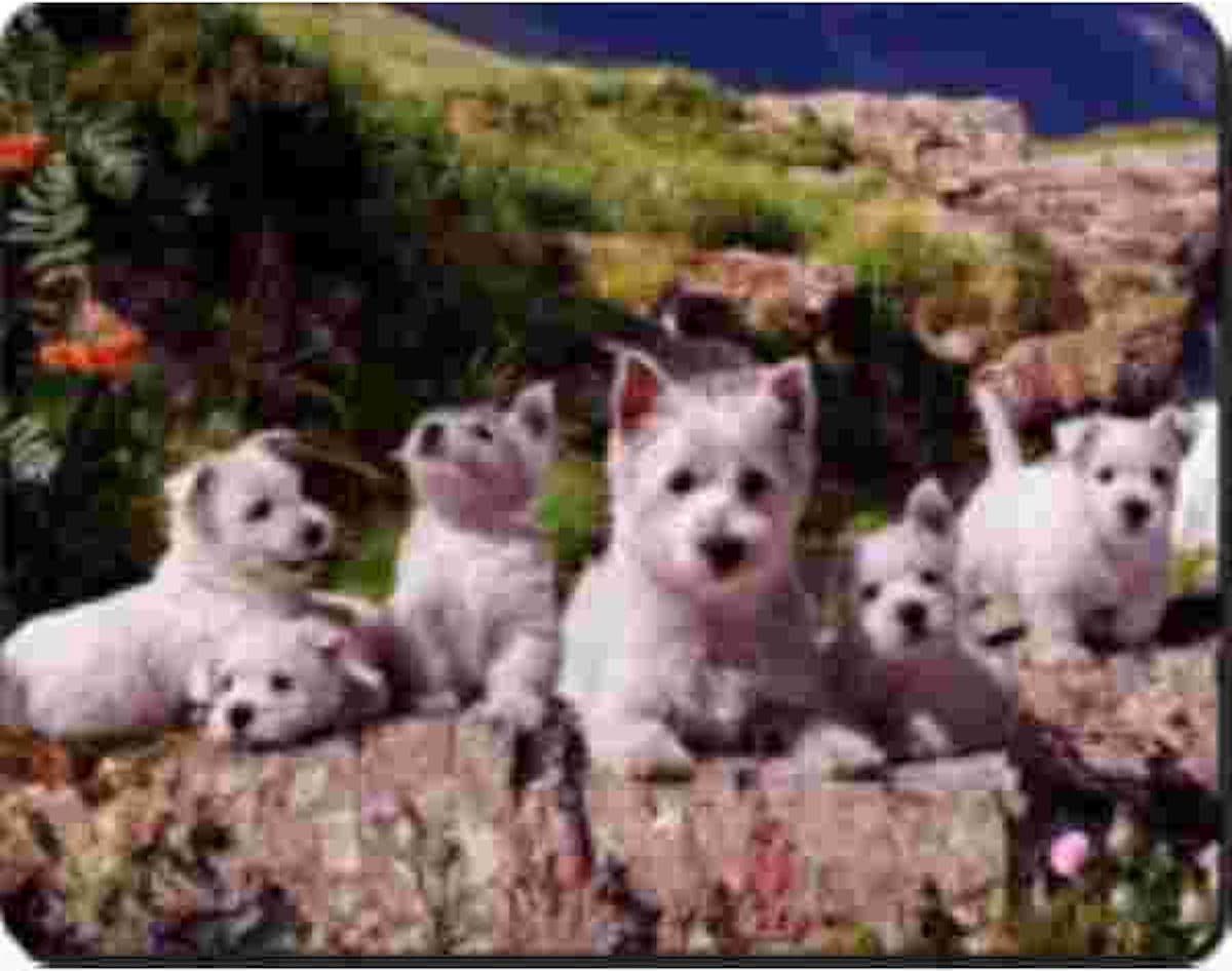 West Highland Terrier Familie  Muismat