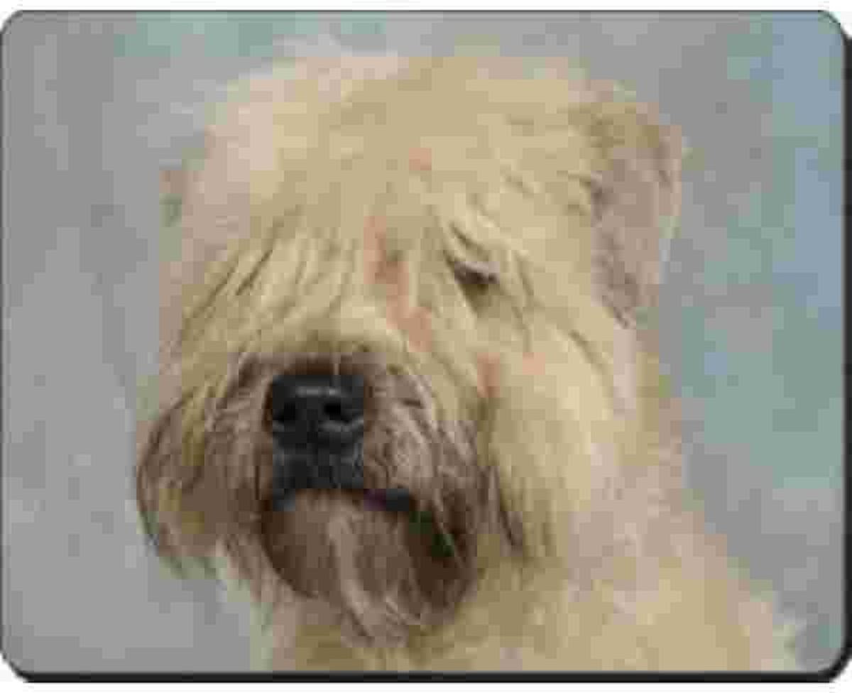 Wheaten Terrier  Muismat