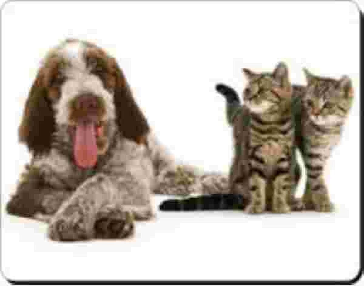 italiaanse  spinone + 2 katten Muismat