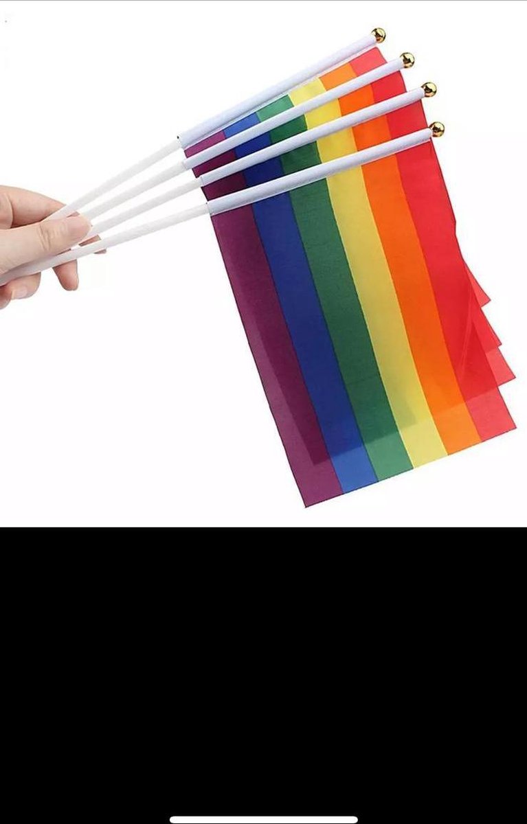 Regenboog vlag- 5 stuks - Gay - lesbian - trans - cadeau - kado - geschenk - gift - verjaardag - feestdag – verassing – pride – respect – ecual – gelijk – lgbt – bi