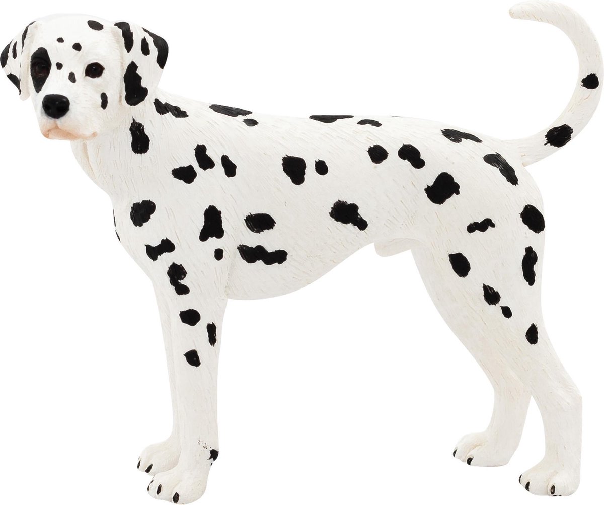 Animal Planet Dalmatiër