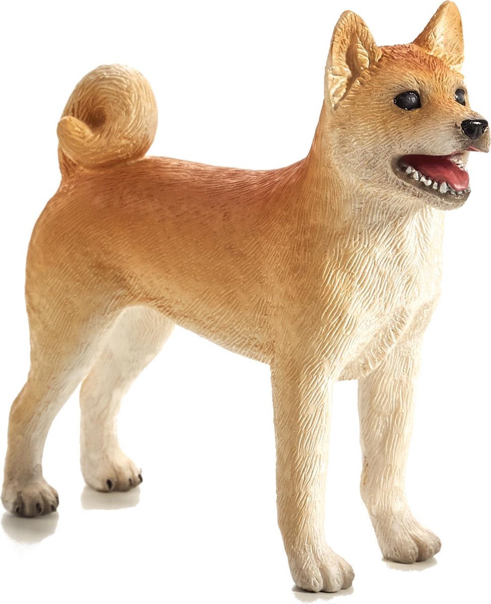 Animal Planet Shiba Inu