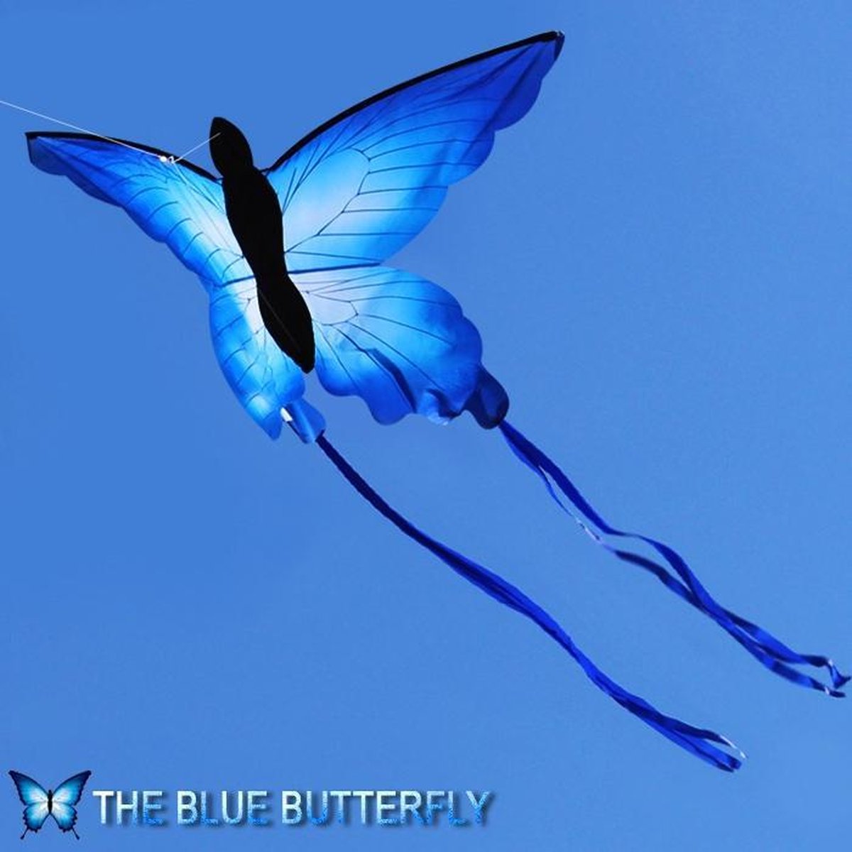 Apeirom Vlieger Blue Butterfly maat 0.70 meter breed en 1.30 meter hoog. Feel the wind!