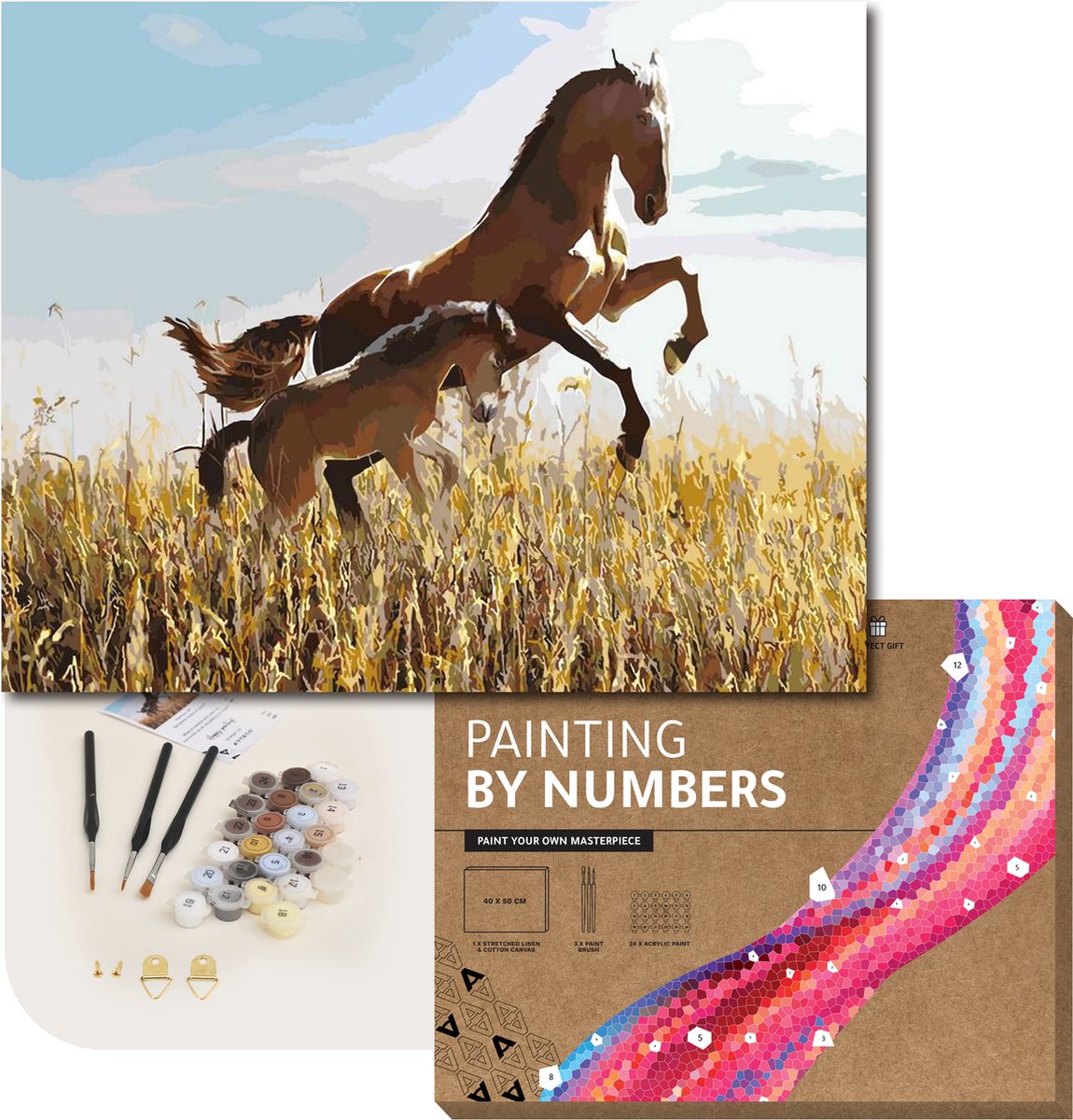 ARTECO® Schilderen Op Nummer – Painting By Numbers – Volwassenen + Kinderen – Met Frame – Dartelend veulen en paard