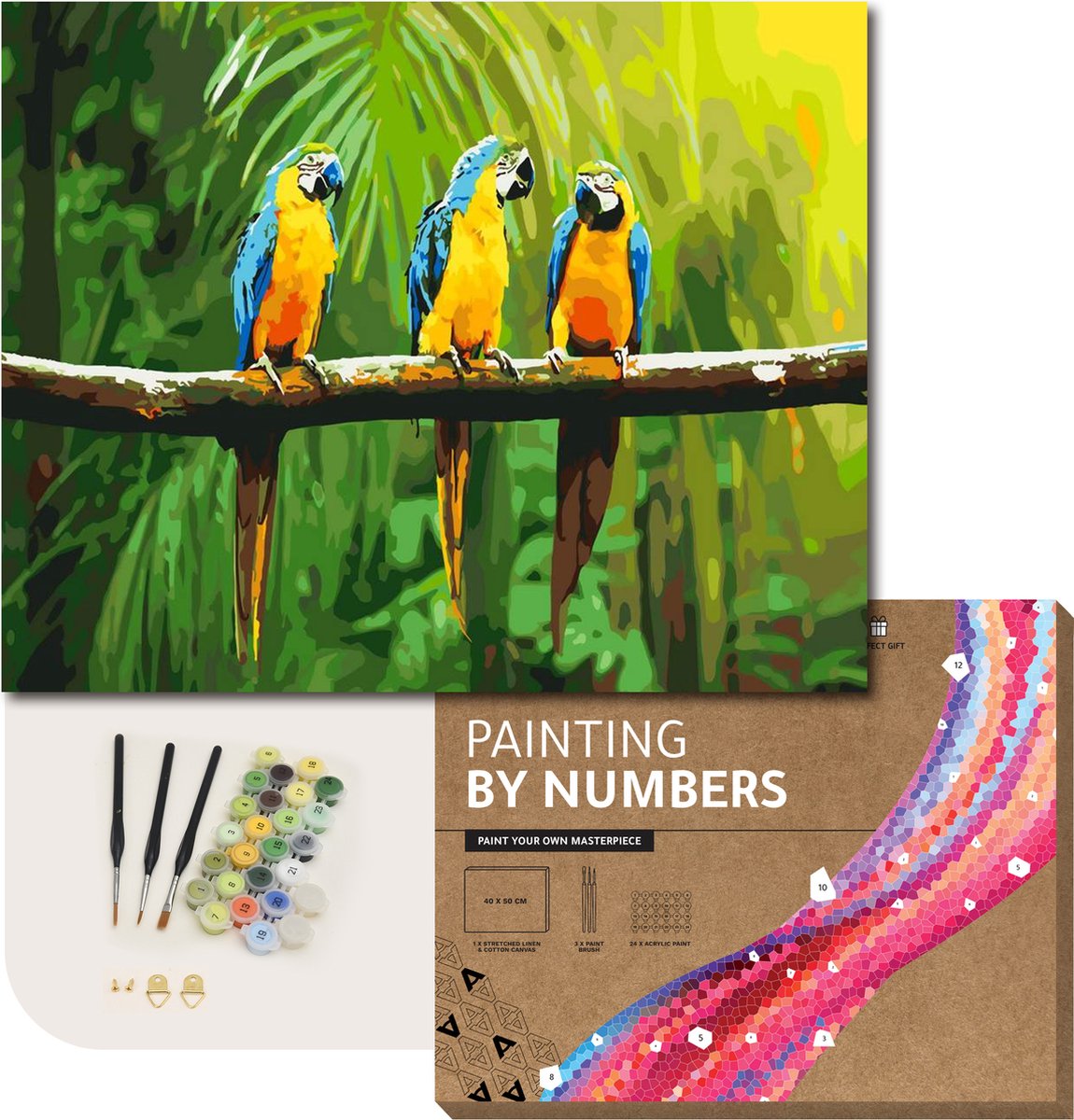 ARTECO® Schilderen Op Nummer – Painting By Numbers – Volwassenen + Kinderen – Met Frame – Papegaaien