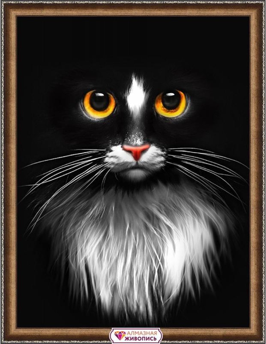   Diamond Painting Zwarte Kat 30x40 cm Vierkante steentjes