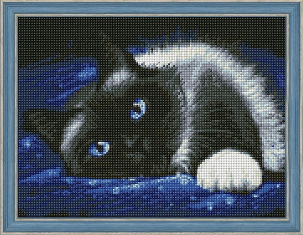 Daimond Painting kit Siamese Beauty  40x30