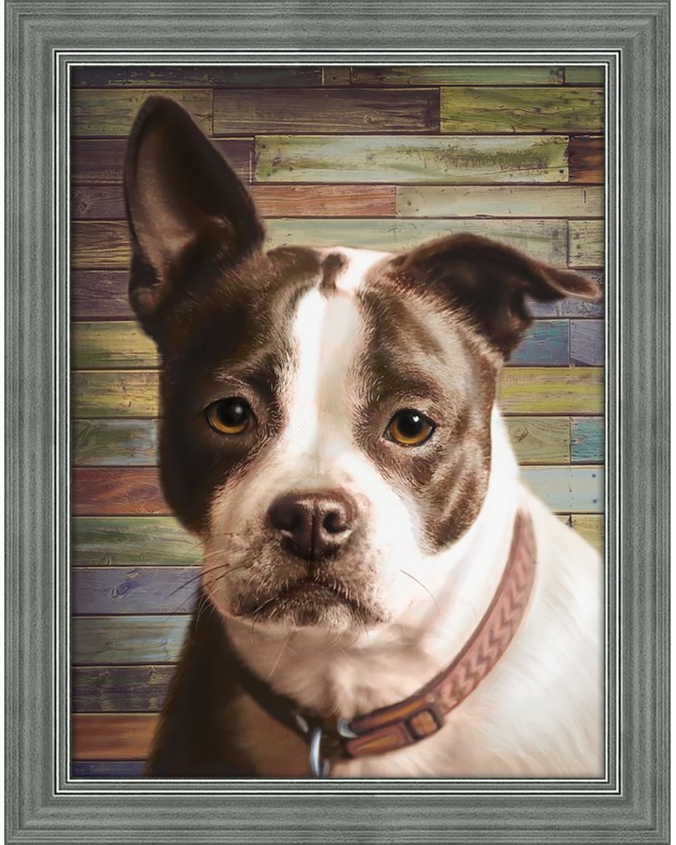 Diamond Painting Staffordshire Terrier    40x30