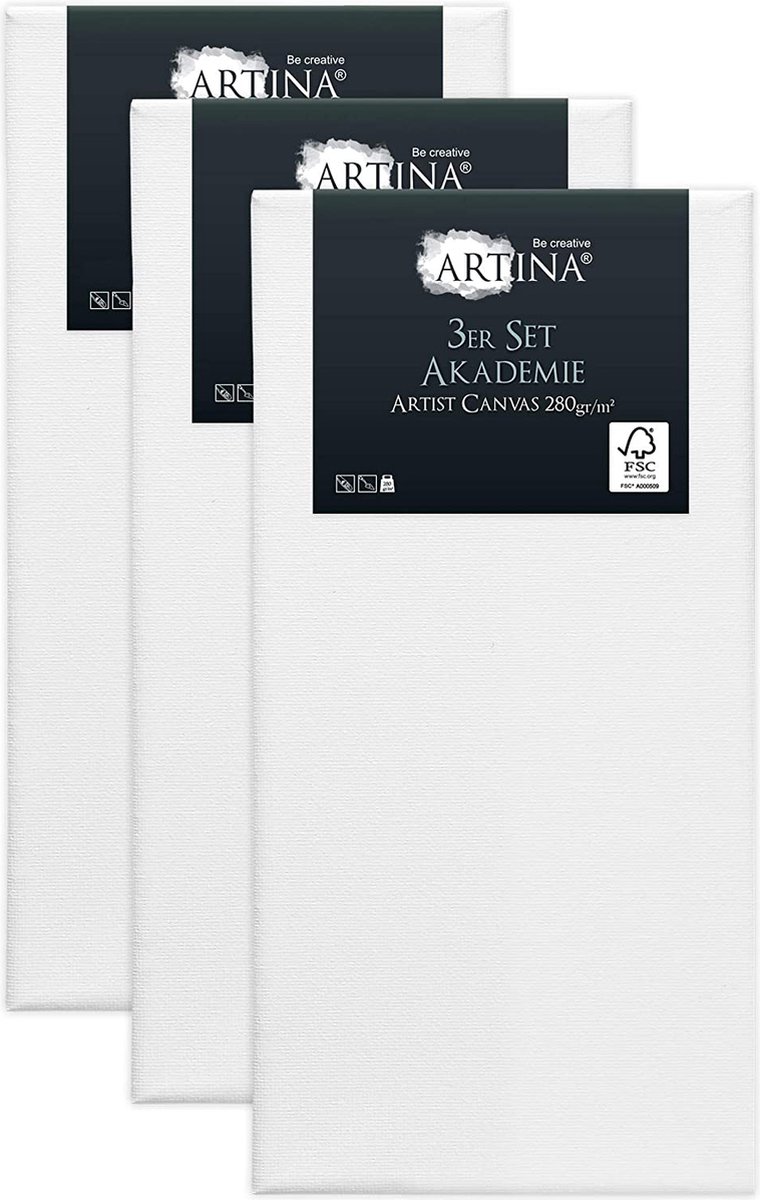 Artina Set van 3 Schildersdoeken 50x100 cm - FSC® Schildersdoek 3 Stuks - Akademie Canvas Dubbel Geprimed Spieraam Wit