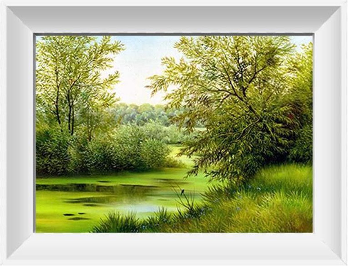 Artstudioclub™  Diamond painting volwassenen 30x25 cm Lente