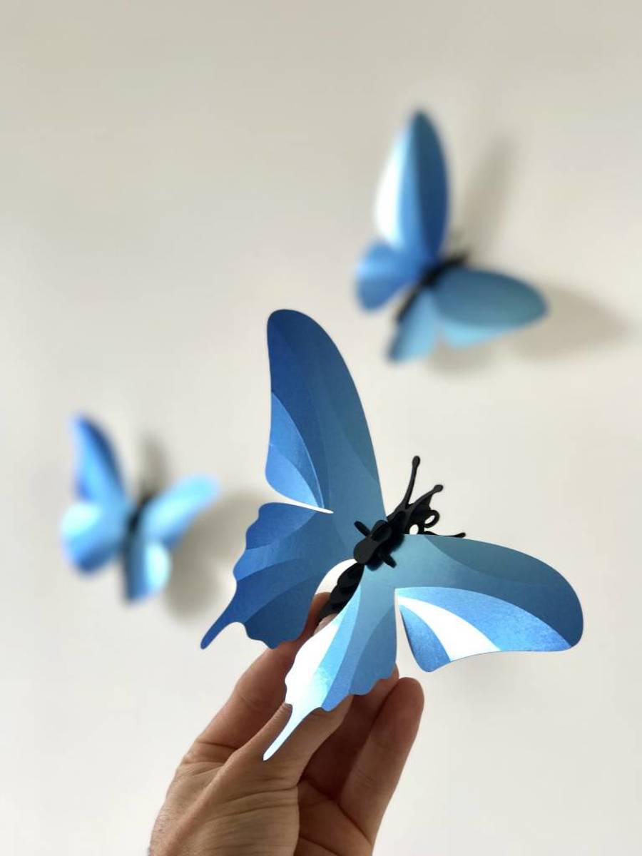 Assembli collection Butterfly azure blue