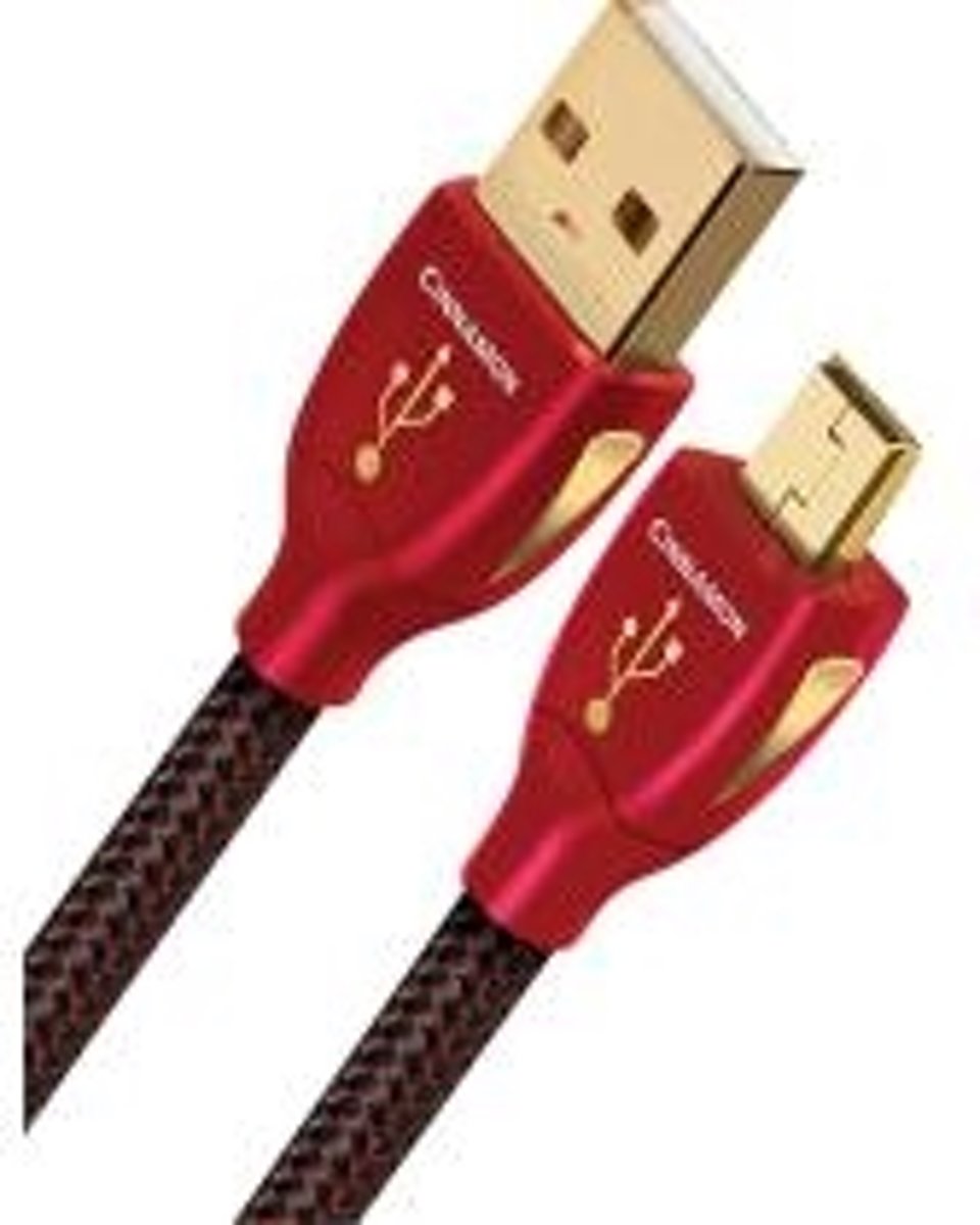 AudioQuest 3m Cinnamon Mini-USB 3m USB A Mini-USB B Mannelijk Mannelijk Zwart USB-kabel