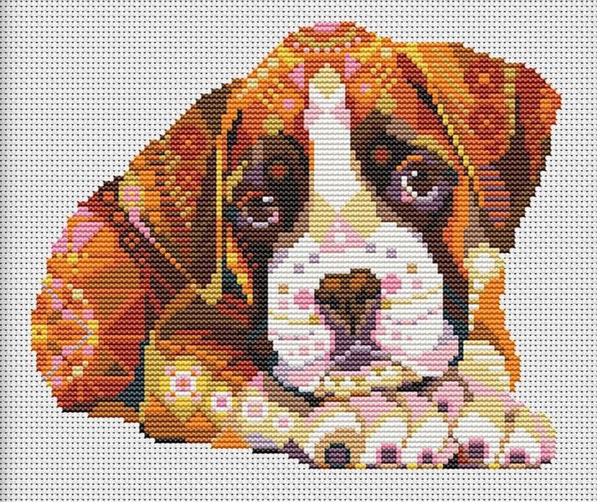 Borduurpakket MANDALA - BOXER PUP