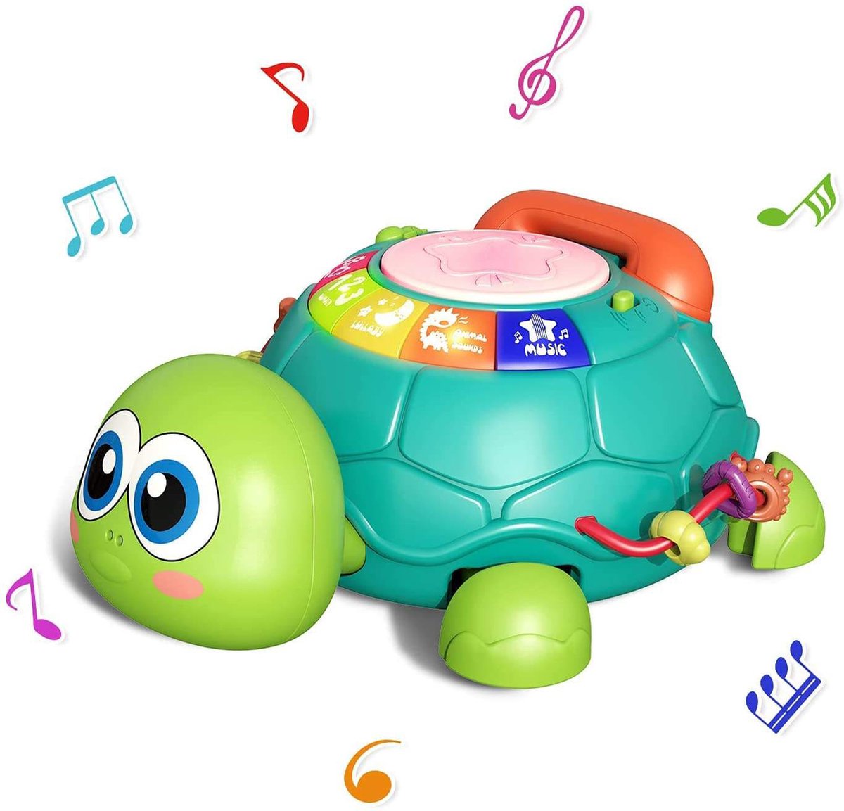 BJoy Wandelende Schildpad met Muziek - Speelgoed kinderen Cadeau Kerst