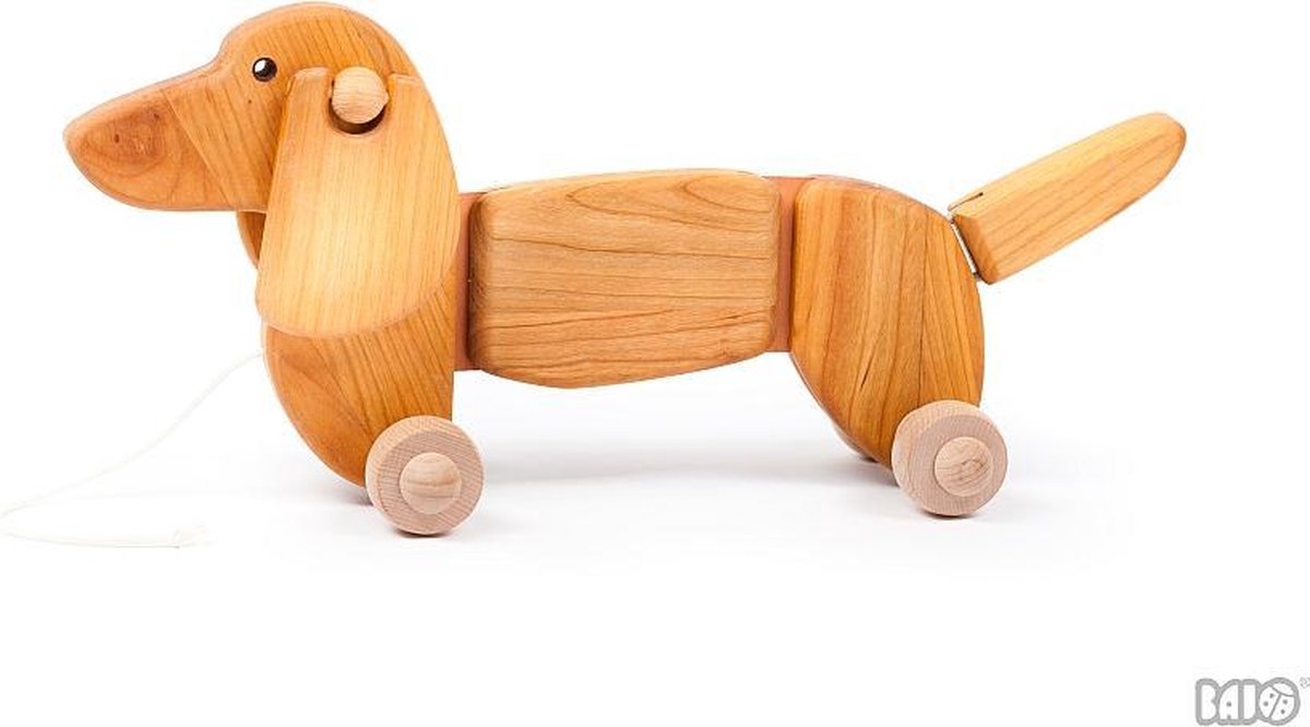 Bajo Dachshund Naturel