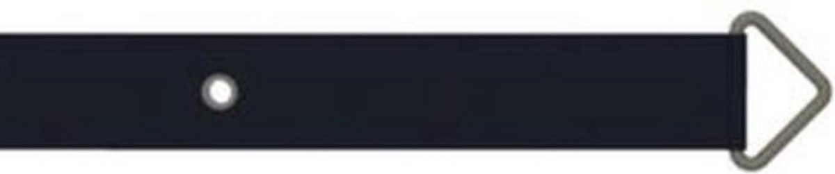 Berg rouler inground 12.5ft