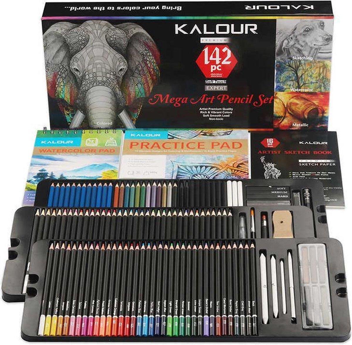 BOTC - Kleurpotloden voor Volwassenen en Kinderen - 142 Stuks - Professionele Tekening Tool - 142 Pcs Schets Potloden Set - Pastel Houtskool Graphite Sticks - Tekening Potlood Kit - Art Supplies Voor Schilderen