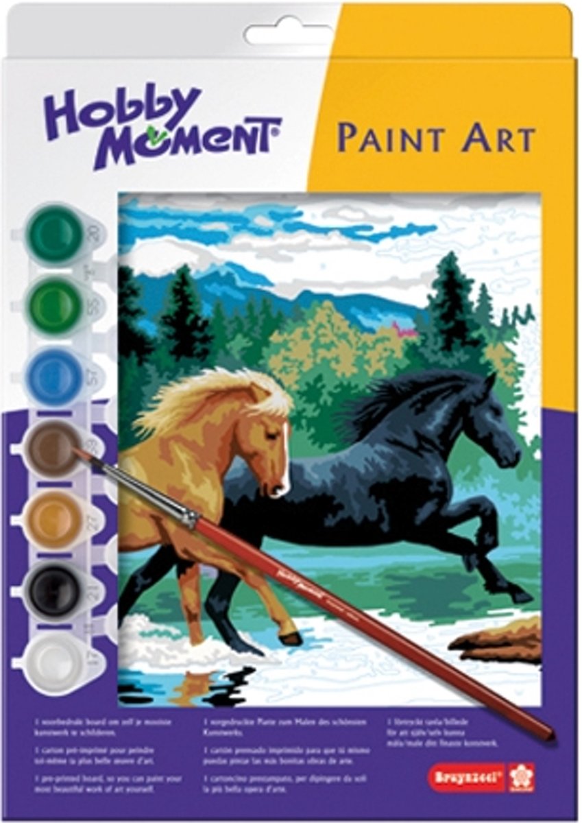 Paint Art Schilderen op nummer set Rennende paarden