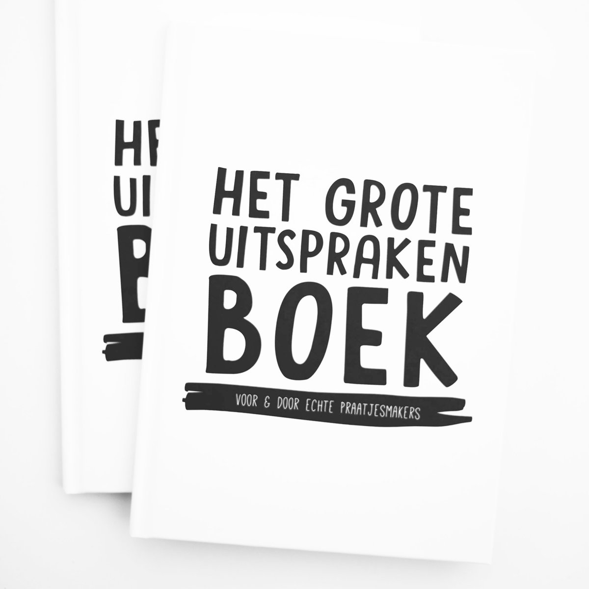 Het grote uitsprakenboek (invulboek)