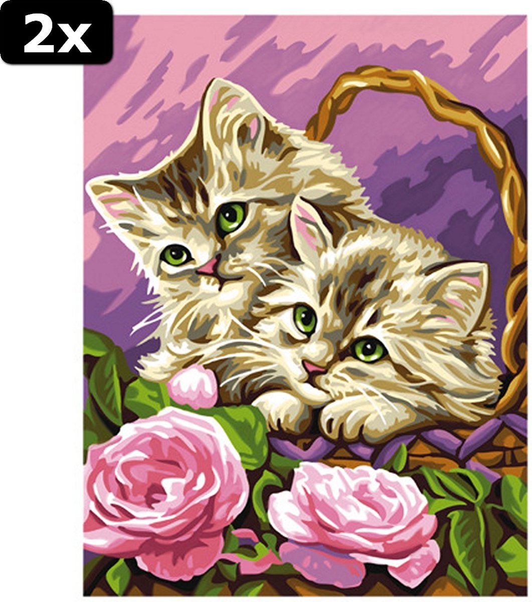 2x Schilderen Op Nummer Kitten 30x24cm