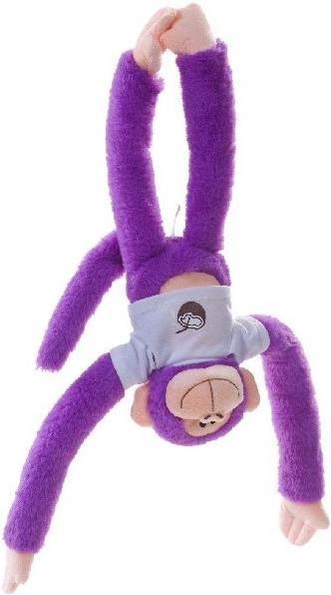 Rainbow Monkey Coconuts Knuffel 40cm