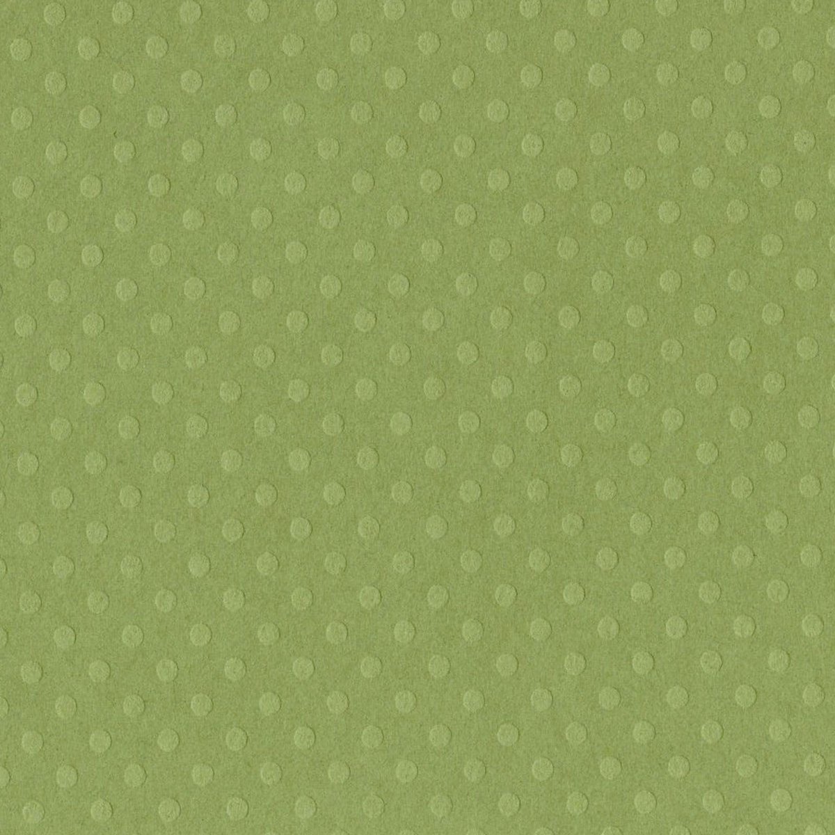 Bazzill Textuurpapier - Dot Swiss - 30.5x30.5cm - Irish Eyes - 25 vellen