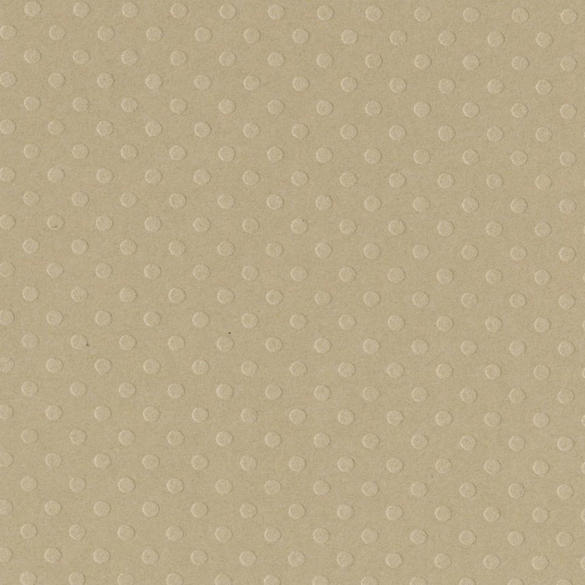 Bazzill Textuurpapier - Dot Swiss - 30.5x30.5cm - Rope Swing - 25 vellen