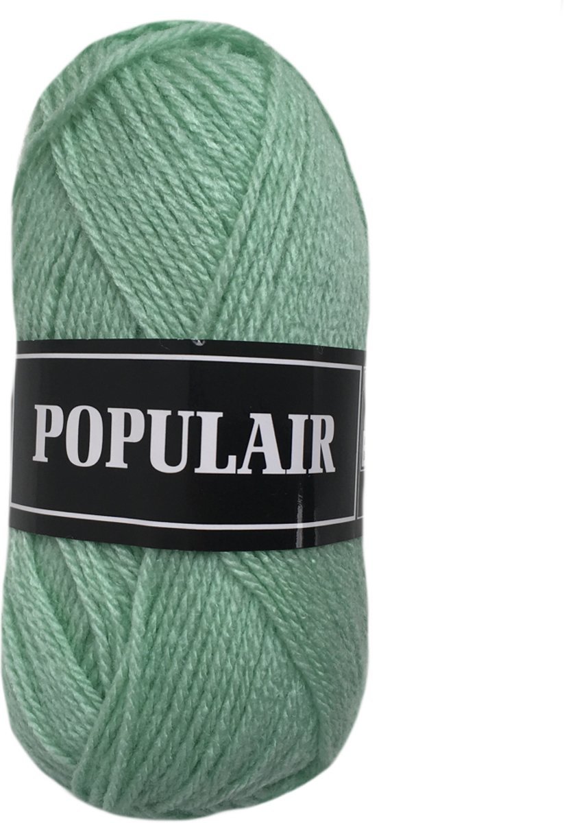 Beijer BV Populair acryl garen - mint - 10 bollen