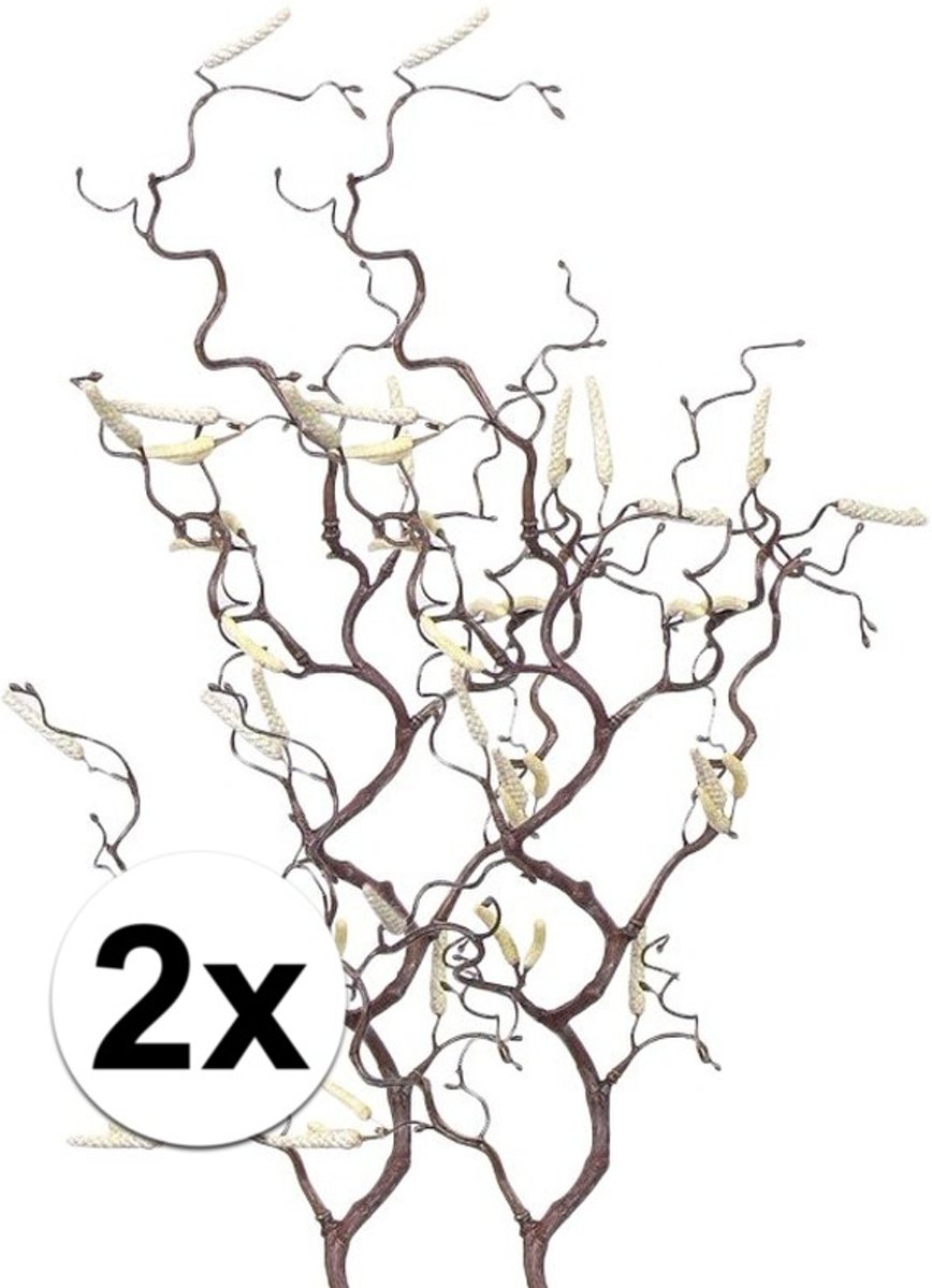 2x Bruine kronkelhazelaar paastak 66 cm - Paastakken