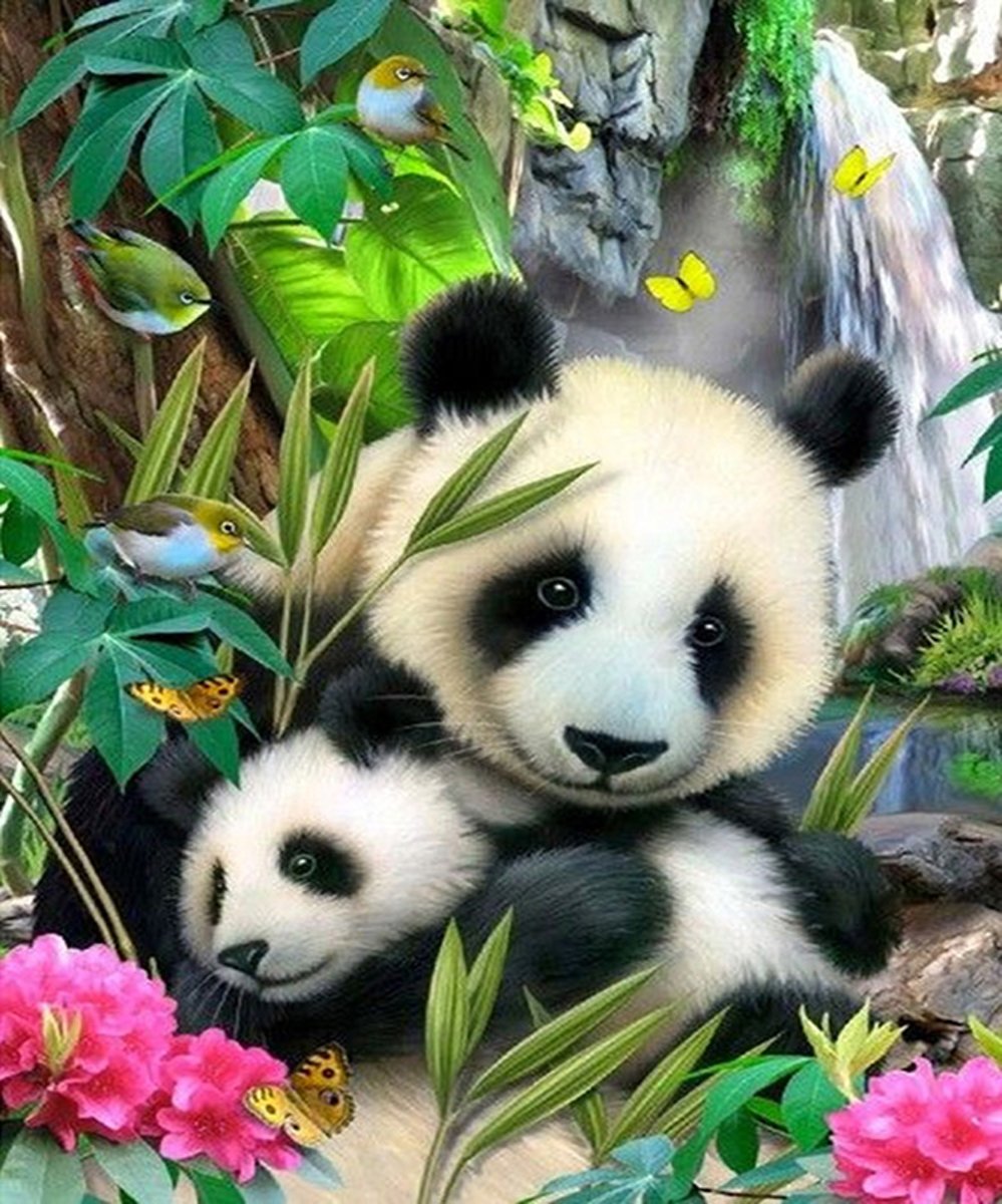 Diamond Painting - full 5D - Pandas - 30*40 - Bodhi Art