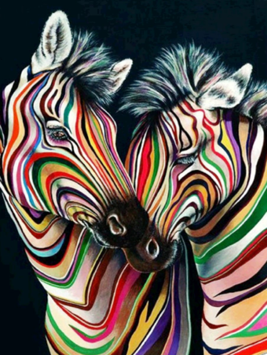 Diamond Painting  Pakket  Kleurrijke Zebra’s 40x50 FULL Ultra HD