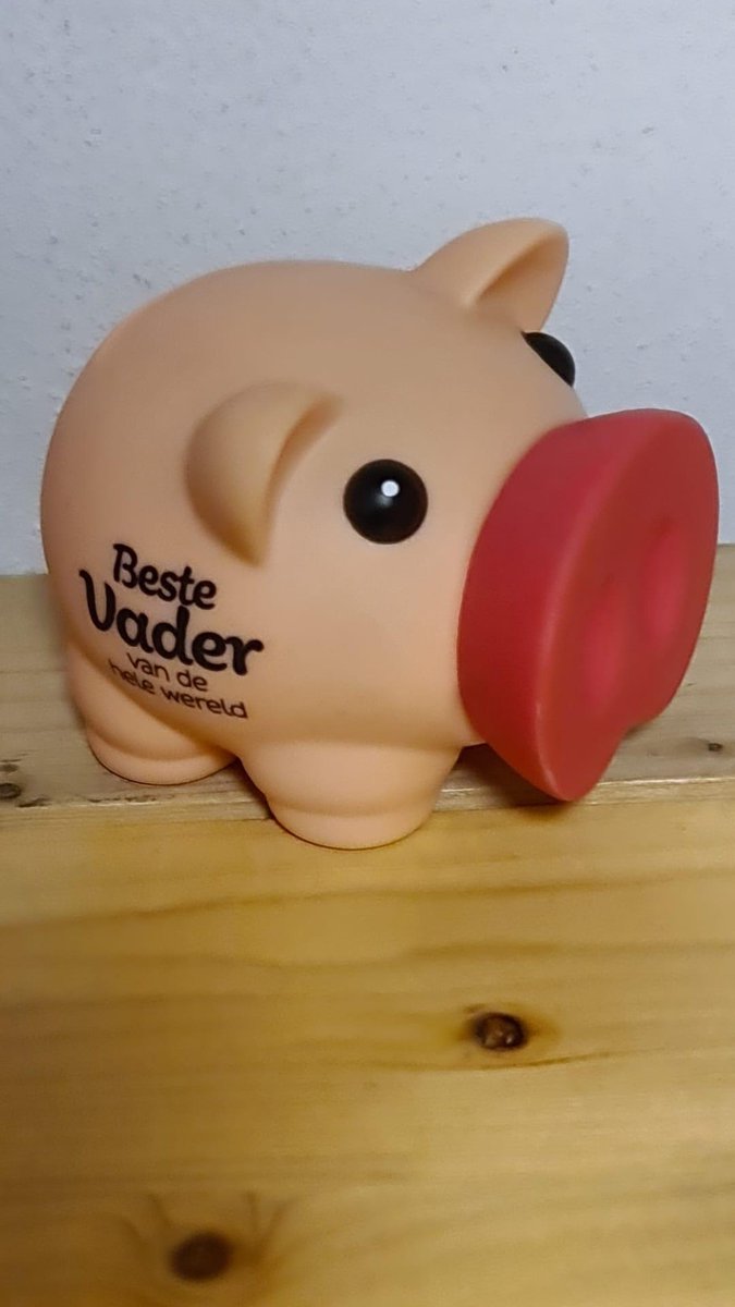 Spaarvarken - Beste Vader - Tekst 