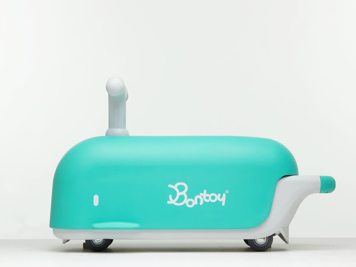 Bontoy Mint Whale Viki